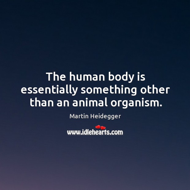 The human body is essentially something other than an animal organism. Martin Heidegger Picture Quote