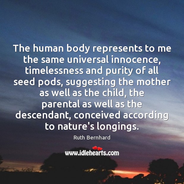 The human body represents to me the same universal innocence, timelessness and Ruth Bernhard Picture Quote