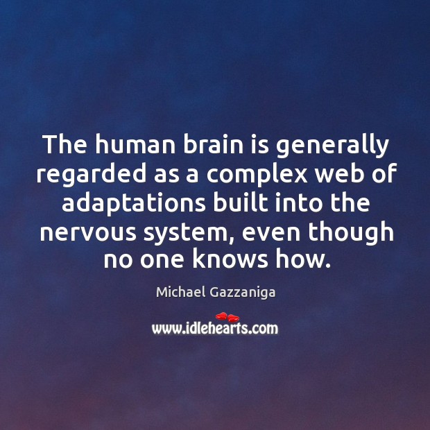 The human brain is generally regarded as a complex web of adaptations Michael Gazzaniga Picture Quote