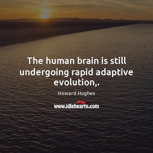 The human brain is still undergoing rapid adaptive evolution,. Howard Hughes Picture Quote