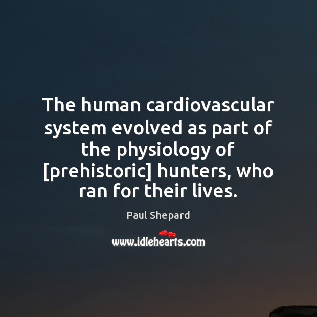 The human cardiovascular system evolved as part of the physiology of [prehistoric] Paul Shepard Picture Quote