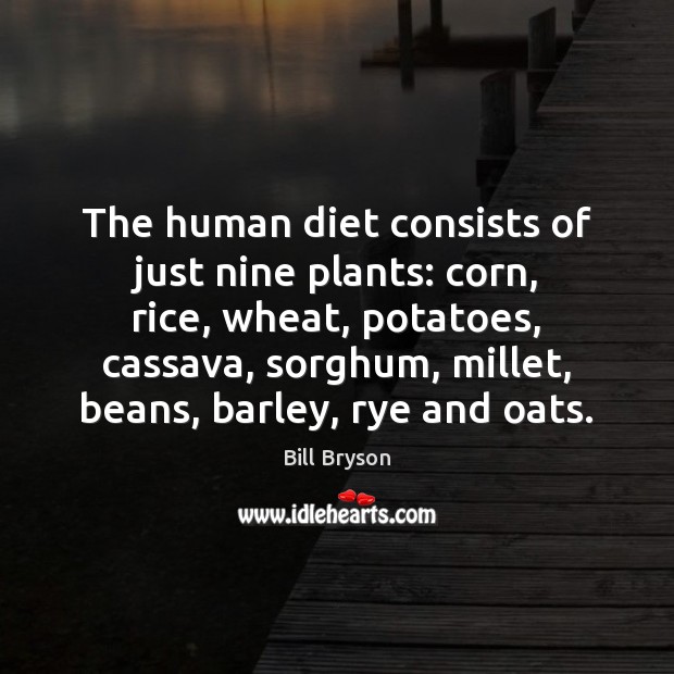 The human diet consists of just nine plants: corn, rice, wheat, potatoes, Bill Bryson Picture Quote