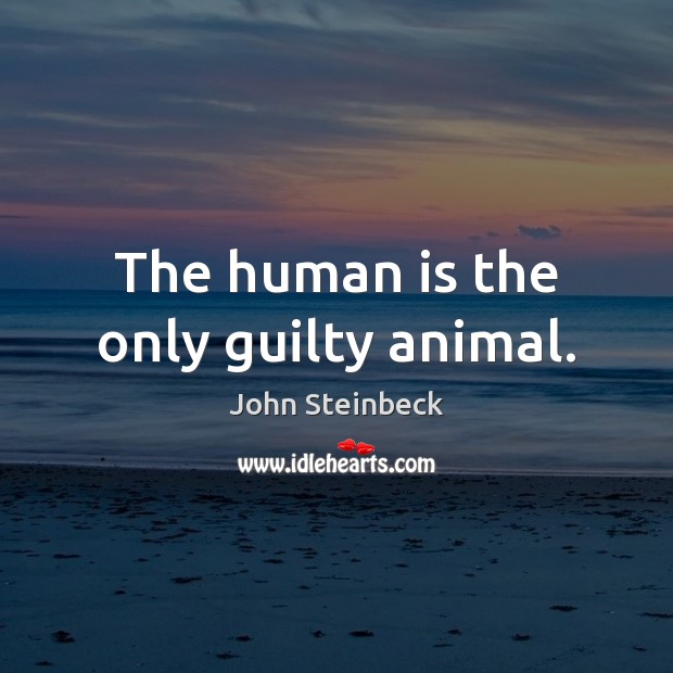 The human is the only guilty animal. Guilty Quotes Image
