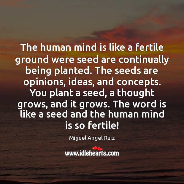 The human mind is like a fertile ground were seed are continually Miguel Angel Ruiz Picture Quote