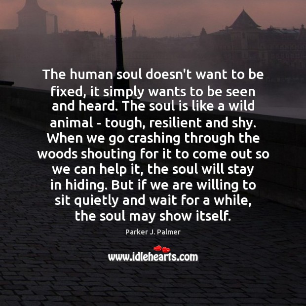 The human soul doesn’t want to be fixed, it simply wants to Soul Quotes Image