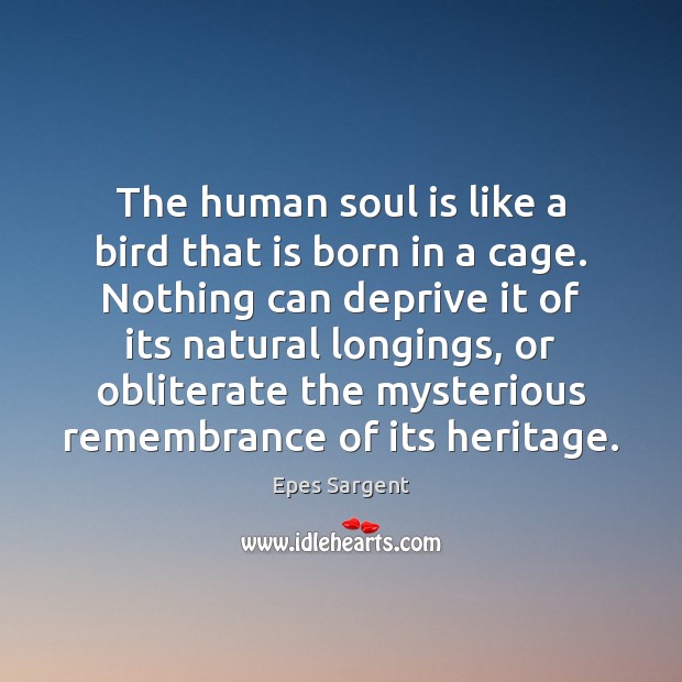 The human soul is like a bird that is born in a Soul Quotes Image