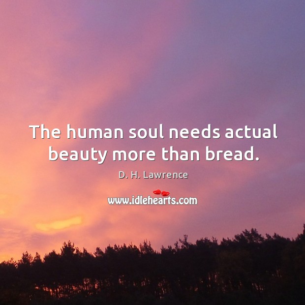 The human soul needs actual beauty more than bread. D. H. Lawrence Picture Quote