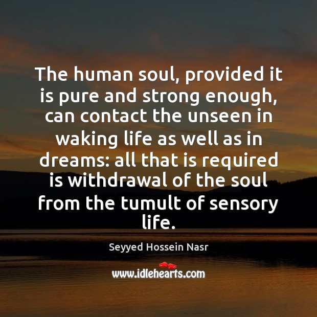 The human soul, provided it is pure and strong enough, can contact Seyyed Hossein Nasr Picture Quote