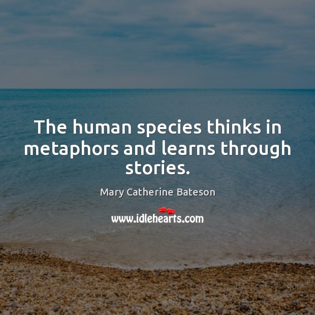 The human species thinks in metaphors and learns through stories. Mary Catherine Bateson Picture Quote
