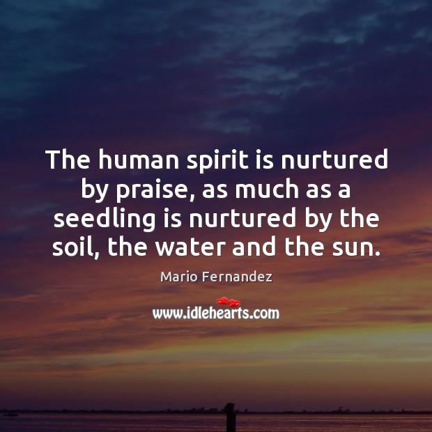 The human spirit is nurtured by praise, as much as a seedling Mario Fernandez Picture Quote