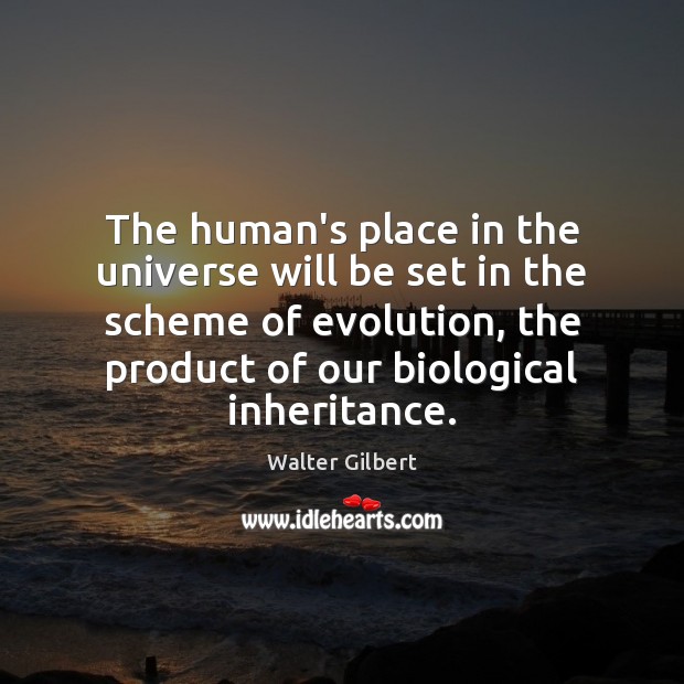 The human’s place in the universe will be set in the scheme Walter Gilbert Picture Quote