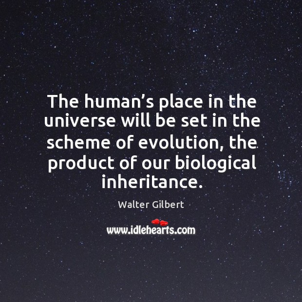 The human’s place in the universe will be set in the scheme of evolution, the product of our biological inheritance. Walter Gilbert Picture Quote