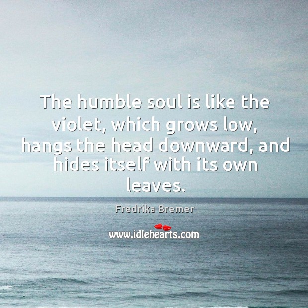 The humble soul is like the violet, which grows low, hangs the Fredrika Bremer Picture Quote
