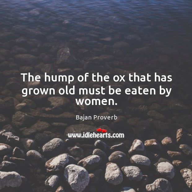 The hump of the ox that has grown old must be eaten by women. Bajan Proverbs Image