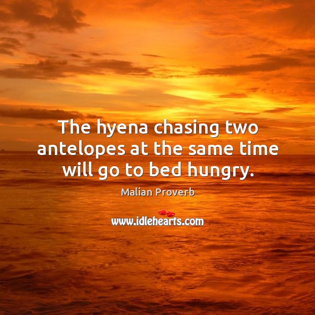 The hyena chasing two antelopes at the same time will go to bed hungry. Malian Proverbs Image