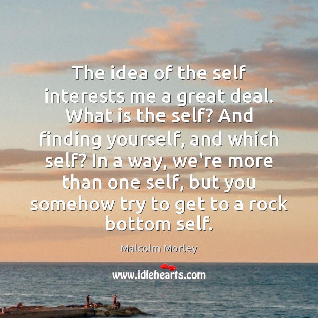 The idea of the self interests me a great deal. What is Malcolm Morley Picture Quote