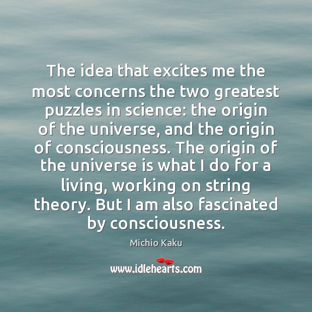 The idea that excites me the most concerns the two greatest puzzles Michio Kaku Picture Quote