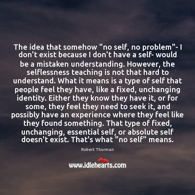 The idea that somehow “no self, no problem”- I don’t exist Robert Thurman Picture Quote