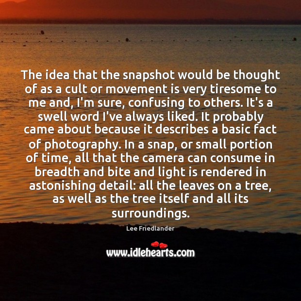 The idea that the snapshot would be thought of as a cult Lee Friedlander Picture Quote