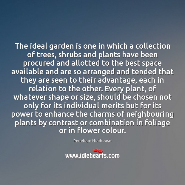 The ideal garden is one in which a collection of trees, shrubs Image