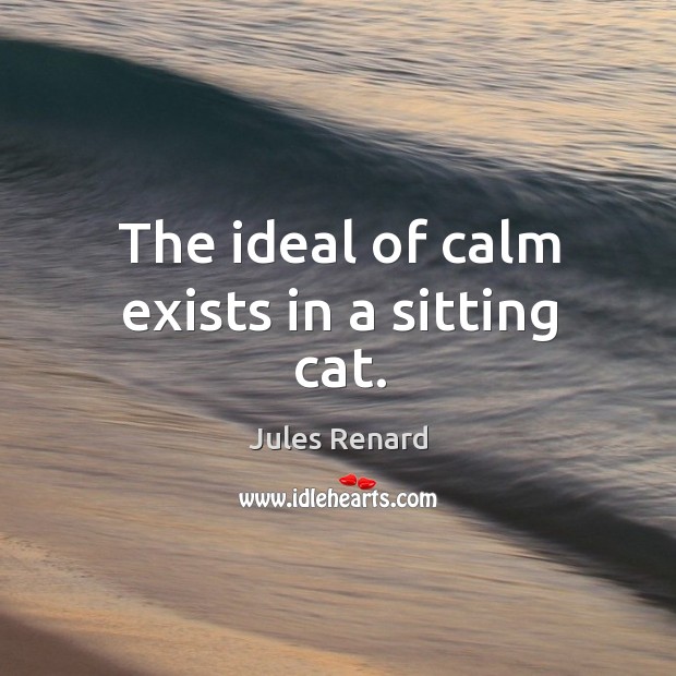 The ideal of calm exists in a sitting cat. Jules Renard Picture Quote