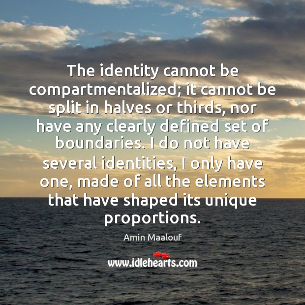 The identity cannot be compartmentalized; it cannot be split in halves or Amin Maalouf Picture Quote