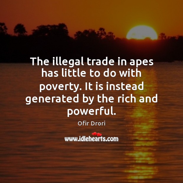 The illegal trade in apes has little to do with poverty. It Ofir Drori Picture Quote