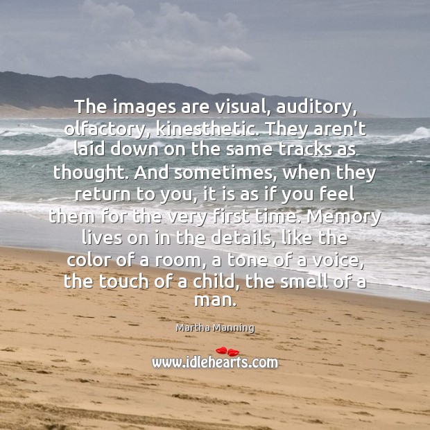 The images are visual, auditory, olfactory, kinesthetic. They aren’t laid down on Image