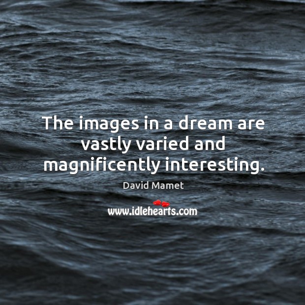 The images in a dream are vastly varied and magnificently interesting. Image