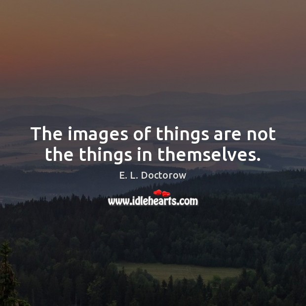 The images of things are not the things in themselves. E. L. Doctorow Picture Quote