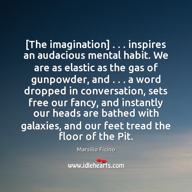 [The imagination] . . . inspires an audacious mental habit. We are as elastic as Marsilio Ficino Picture Quote