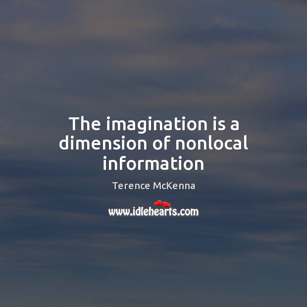 The imagination is a dimension of nonlocal information Terence McKenna Picture Quote