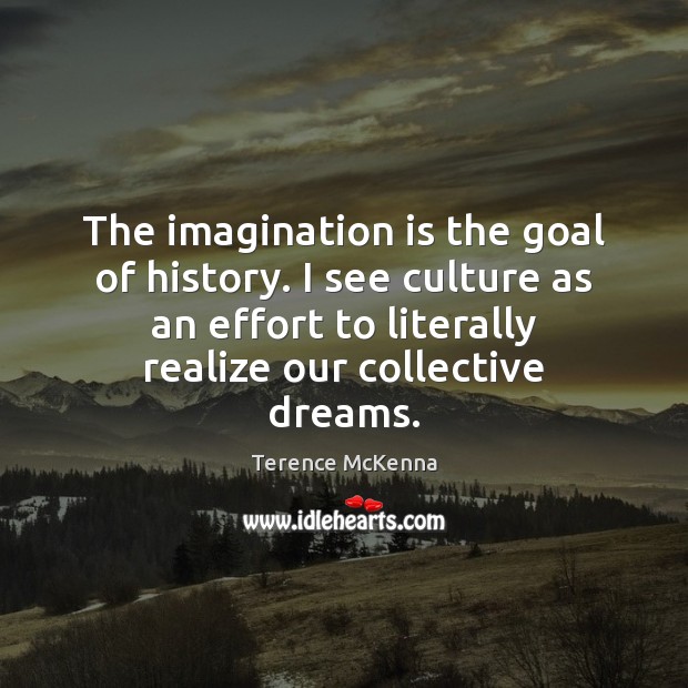The imagination is the goal of history. I see culture as an Terence McKenna Picture Quote