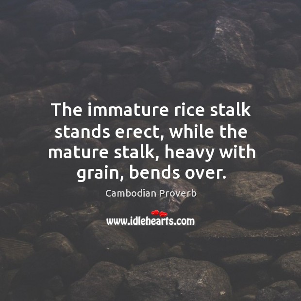 The immature rice stalk stands erect, while the mature stalk, heavy with grain, bends over. Cambodian Proverbs Image