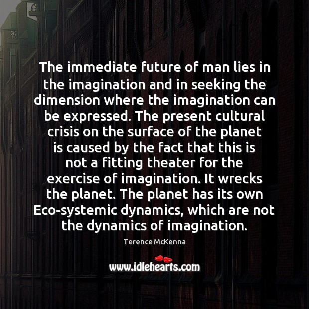 The immediate future of man lies in the imagination and in seeking Terence McKenna Picture Quote