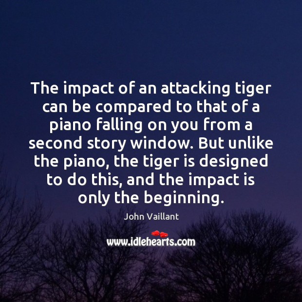 The impact of an attacking tiger can be compared to that of John Vaillant Picture Quote