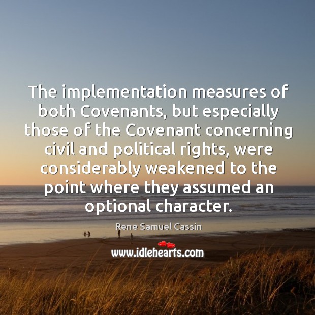 The implementation measures of both covenants, but especially those of the covenant Rene Samuel Cassin Picture Quote