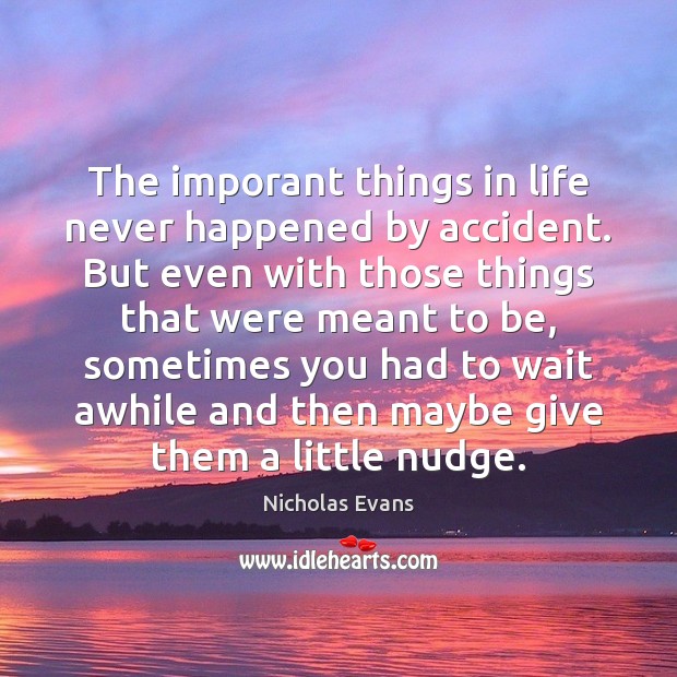 The imporant things in life never happened by accident. But even with Nicholas Evans Picture Quote