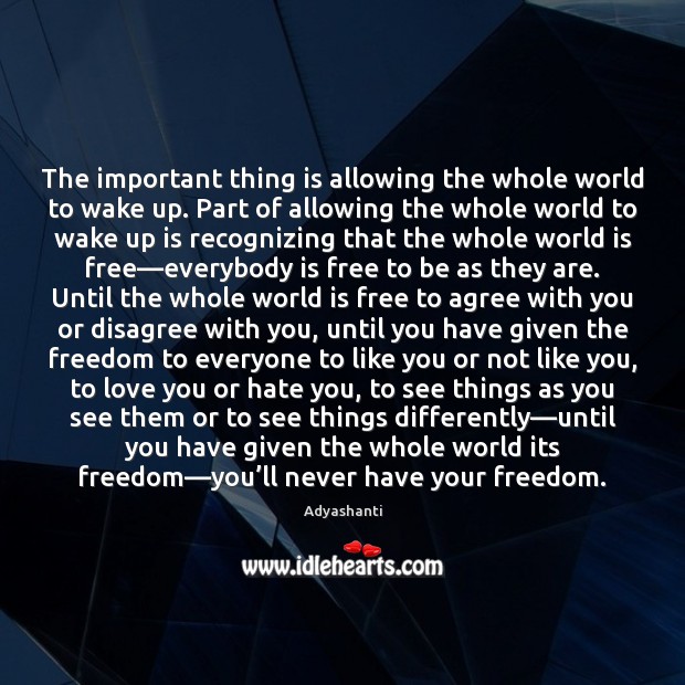 The important thing is allowing the whole world to wake up. Part Adyashanti Picture Quote