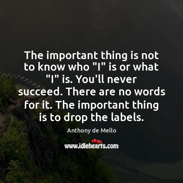 The important thing is not to know who “I” is or what “ Anthony de Mello Picture Quote