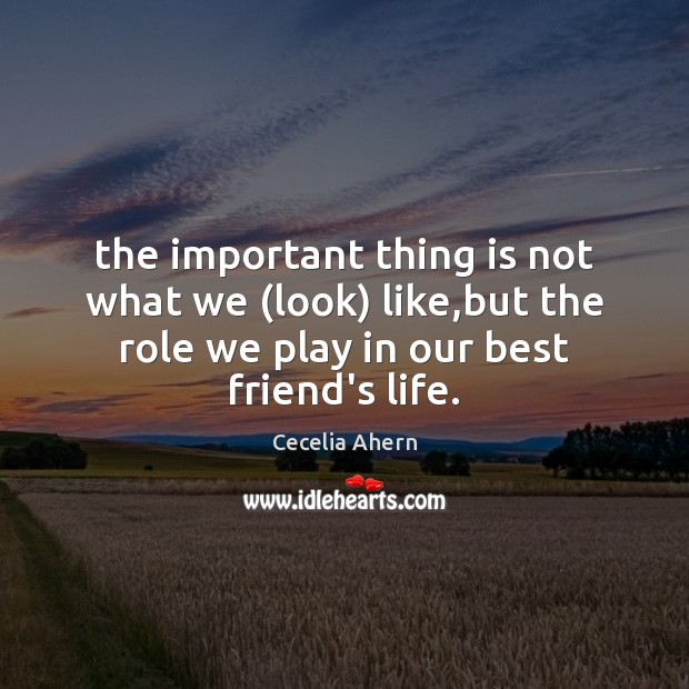 The important thing is not what we (look) like,but the role Cecelia Ahern Picture Quote