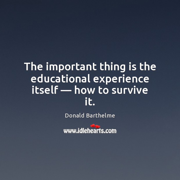 The important thing is the educational experience itself — how to survive it. Image