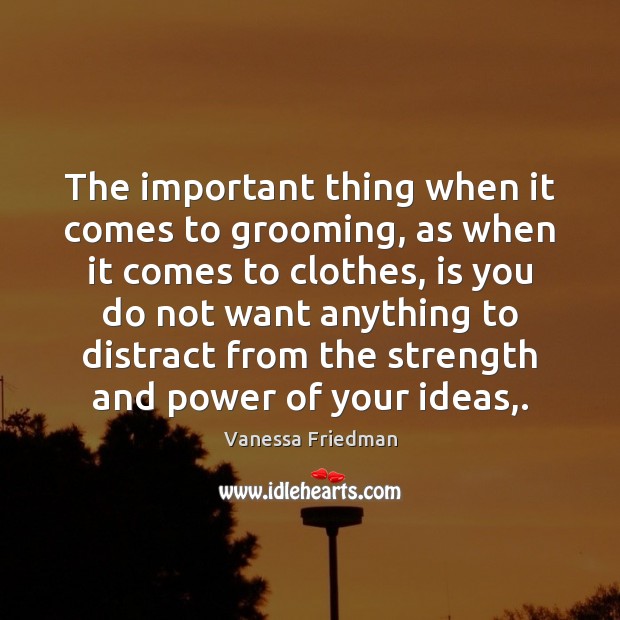 The important thing when it comes to grooming, as when it comes Vanessa Friedman Picture Quote