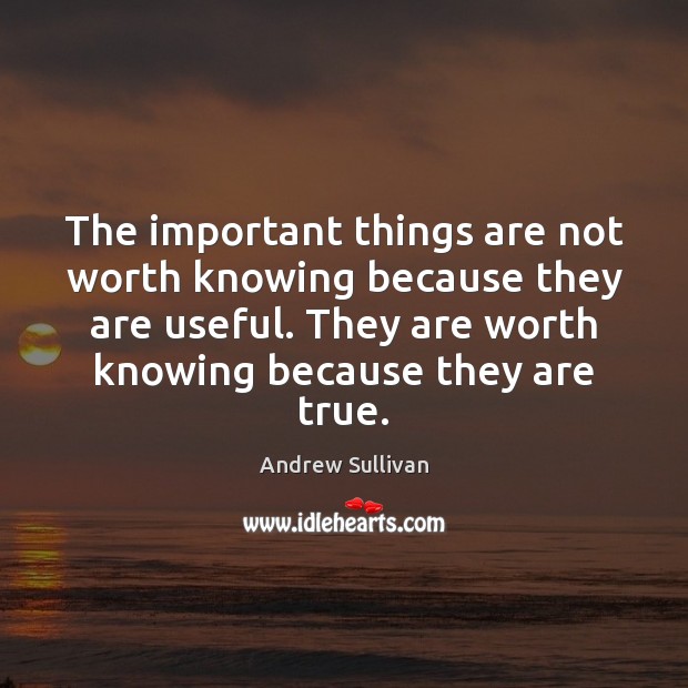 The important things are not worth knowing because they are useful. They Andrew Sullivan Picture Quote