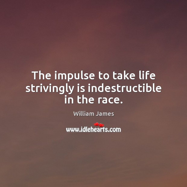 The impulse to take life strivingly is indestructible in the race. William James Picture Quote