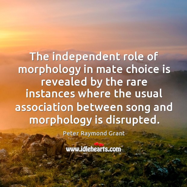 The independent role of morphology in mate choice is revealed by the rare instances Peter Raymond Grant Picture Quote