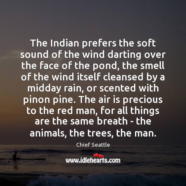 The Indian prefers the soft sound of the wind darting over the Chief Seattle Picture Quote