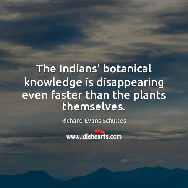 The Indians’ botanical knowledge is disappearing even faster than the plants themselves. Knowledge Quotes Image