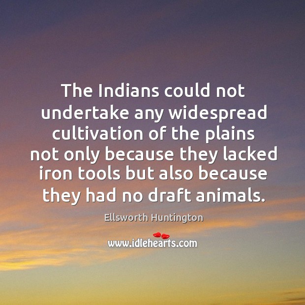 The indians could not undertake any widespread cultivation Image