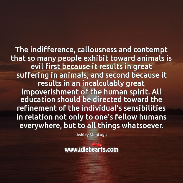 The indifference, callousness and contempt that so many people exhibit toward animals 